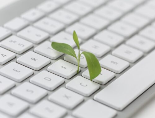 Evergreen Content: The Cornerstone of a Proactive, Resilient Content Strategy